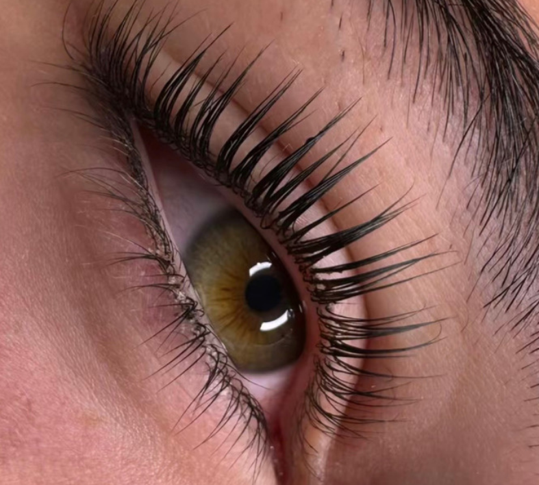 Korean Lash & Brows