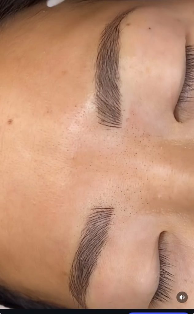 Microblading hair-stroke brows – Cosmetic Tattooing Melbourne
